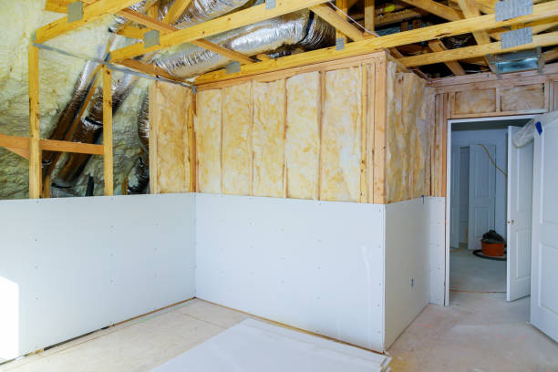 Best Insulation Replacement Services  in North River Shores, FL