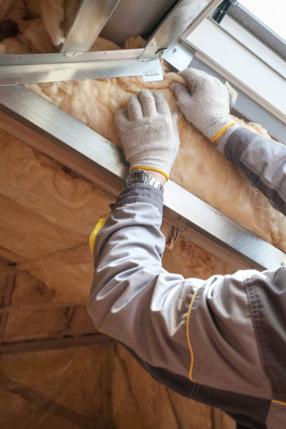 Best Commercial Insulation Contractor  in North River Shores, FL